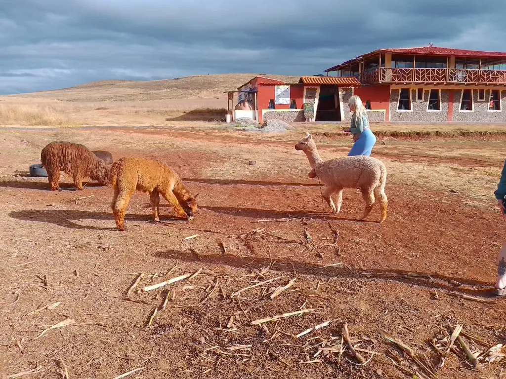 WhatsApp Image 2025-09-01 at 10.21.47 PM.webp