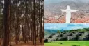 Cristo Blanco y Bosque de Árboles: City Tour con Visita Guiada