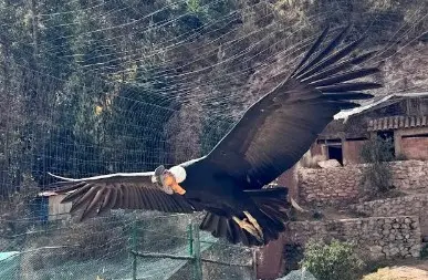 Santuario de cochahuasi